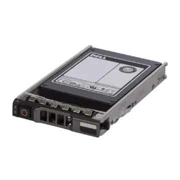 SE3010 Dell